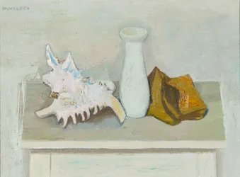 Still Life With Shell