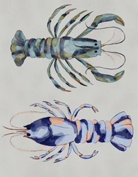 Blue Lobsters