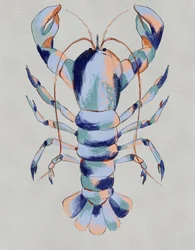 Colorful Blue Lobster