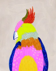 Colorful Tropical Parrot