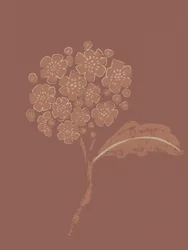 Earthy Botanical Bloom