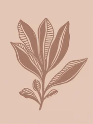 Natural Botanical Drawing