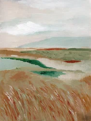 Peaceful Marshland View