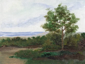Serene Countryside Path