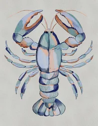 Blue Lobster