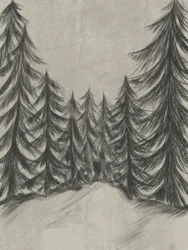 Winter Forest Sketch