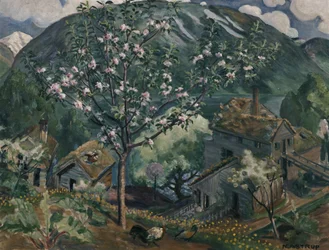 Apple tree in full bloom