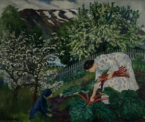 Rhubarb