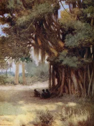 Beneath a Banyan Tree, Malekula Island, New Hebrides