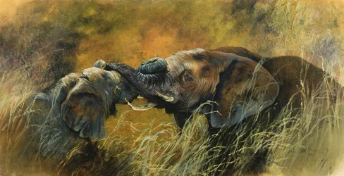Bundu