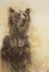 Grizzly Bear 1