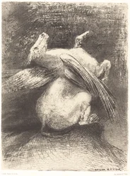 The Impotent Wing Did Not Lift the Animal into Those Black Spaces