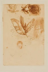 Sketches