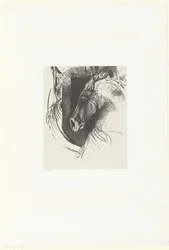Warhorse