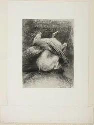 The Impotent Wing Did Not Lift the Animal Into That Black Space, plate 7 of 8 from "Les Origines"