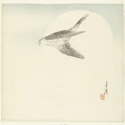Cuckoo Flying by Full Moon