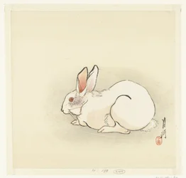 White Rabbit