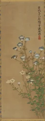Blue and White Flowers on Slender Stalks