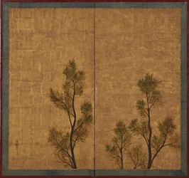 Black Pine