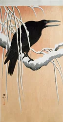 A Raven on a Snowy Branch by Ohara Koson (1910). Private Collection