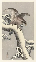 Eagle on Snowy Pine