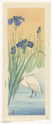 Egret with Irises