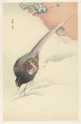 Pair of Pheasants in the Snow