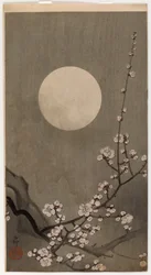 Flowering Plum and Moon