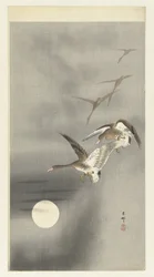 Geese in Flight