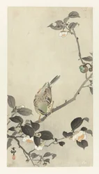 Bunting on Blossom Branch