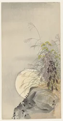 Grasses by Full Moon