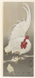 Rooster and Three Chicks