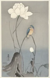 Kingfisher with Lotus Flower