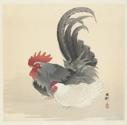 Hen and Rooster