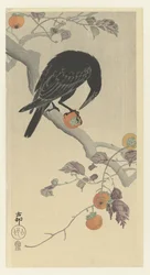 Crow with Persimmon