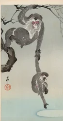 Monkey and baby reaching for the reflection of the moon