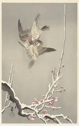 Sparrows and Snow-Covered Plum Tree