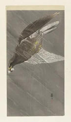 Downward Flying Eagle