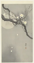 Plum Blossom and Full Moon