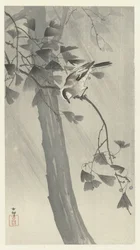 Long-tailed tit in a storm