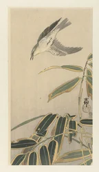 Wheatear by Bamboo