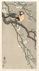 Tits on Cherry Branch