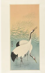 Two Cranes