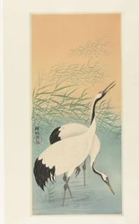 Two cranes