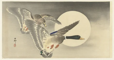 Two Ducks with Full Moon