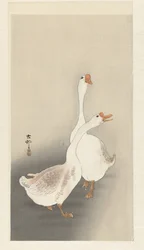 Two Geese
