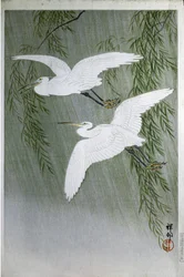 Two Herons Flying Free