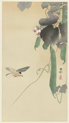 Bird by Blooming Bean Plant