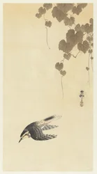 Bird in Downward Flight