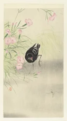 Moorhen by a Flowering Plant
